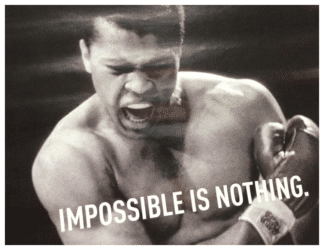 Impossible is Nothing: The Lessons of Aunt Fran and The GOAT